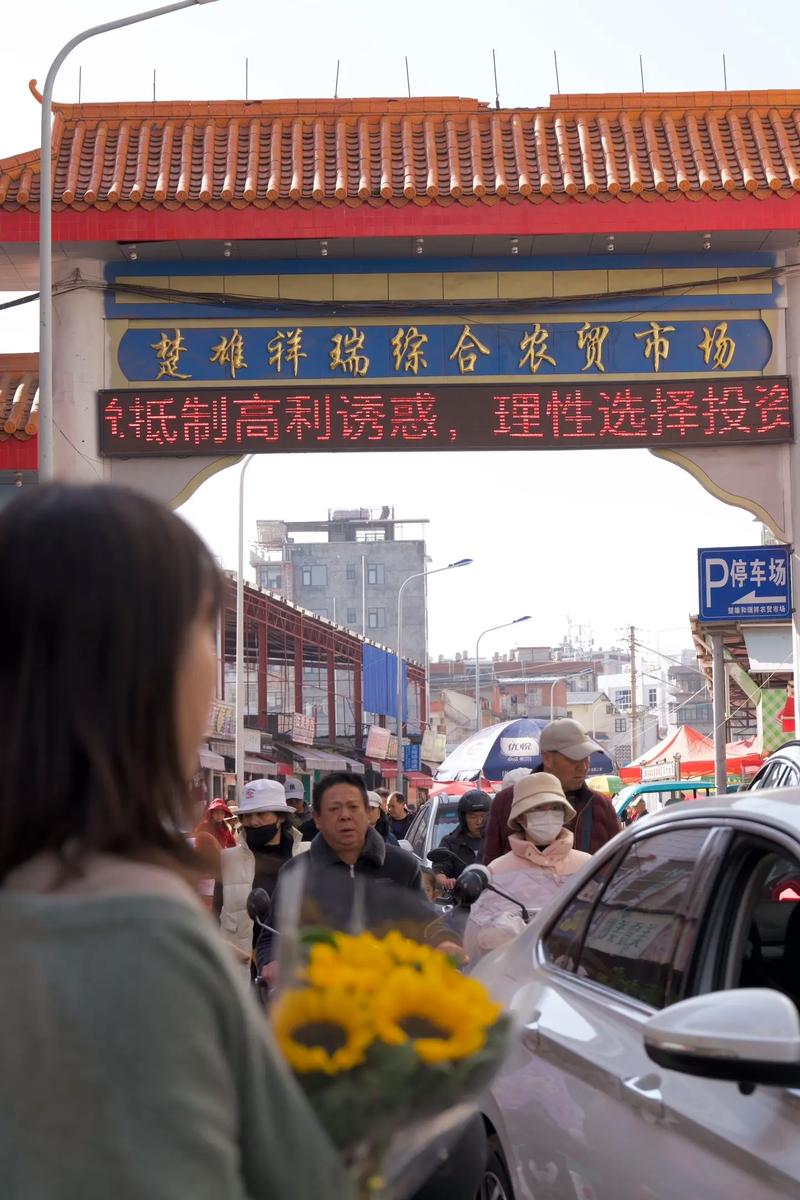 商贸生态中的楚雄现象：商贸公司如何在市场中脱颖而出？